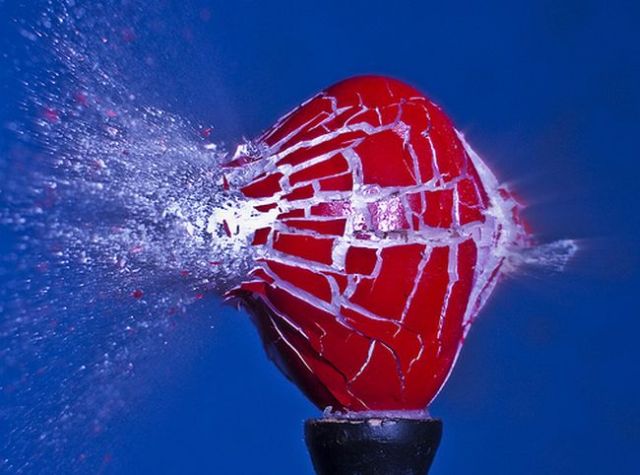 Incredible High-Speed photography by Alan Sailer (99 pics)