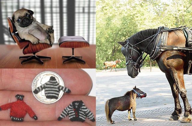 Tiny versions of bigger things (41 pics)