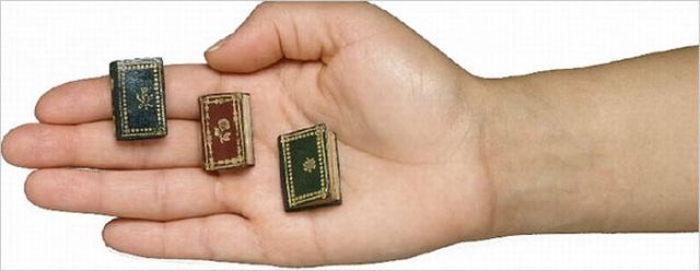 Tiny versions of bigger things (41 pics)