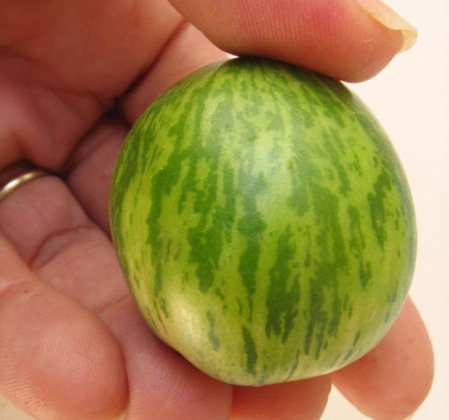 Interesting fruit (3 pics)