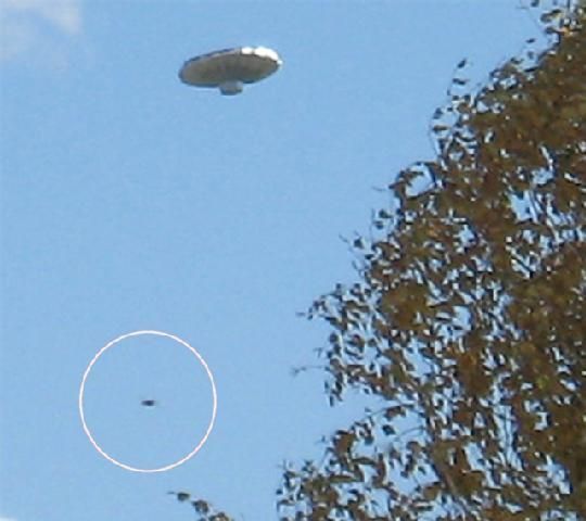 Balloon Boy - the latest big hoax (145 pics + 6 videos)