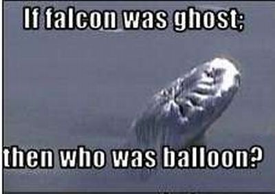 Balloon Boy - the latest big hoax (145 pics + 6 videos)