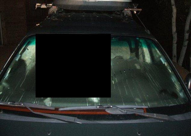 A real car thief in action. Scary! (3 pics)