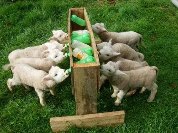 Daily picdump (156 pics)