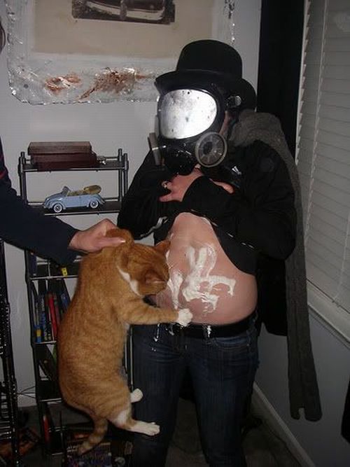 Daily picdump (156 pics)