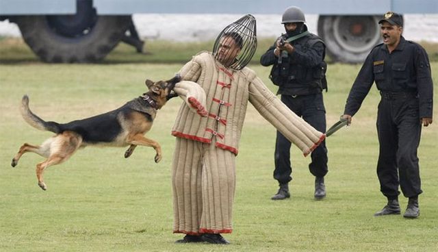 Daily picdump (156 pics)