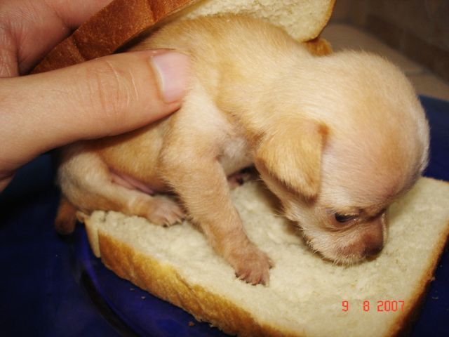 Daily picdump (156 pics)