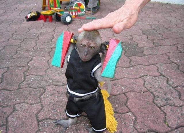 Daily picdump (156 pics)