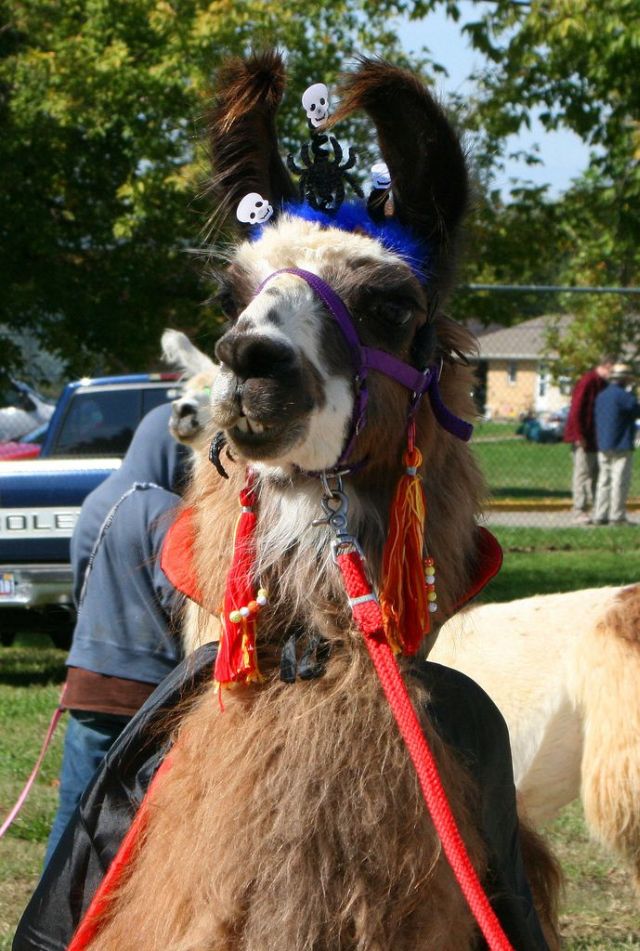 Daily picdump (156 pics)