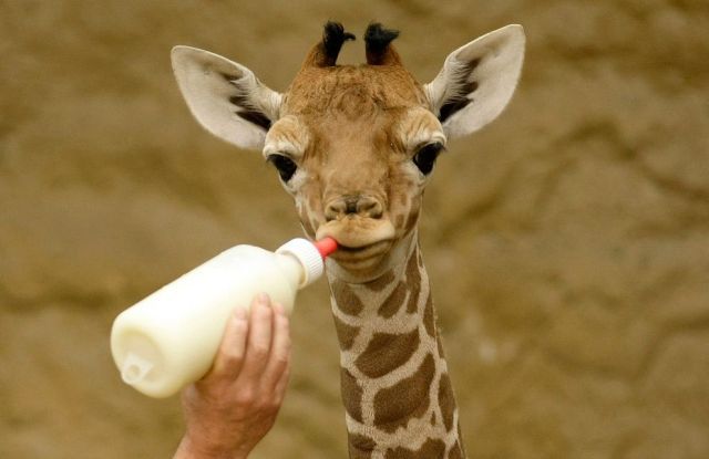 Daily picdump (156 pics)