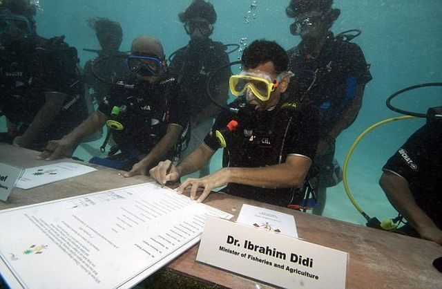 Daily picdump (156 pics)