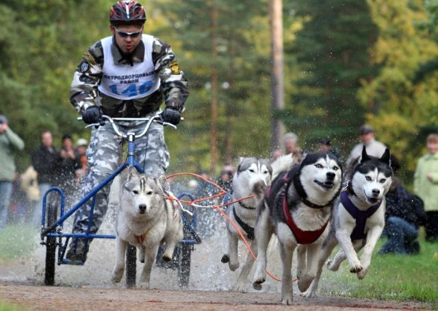 Daily picdump (156 pics)