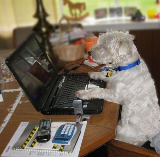 Daily picdump (156 pics)