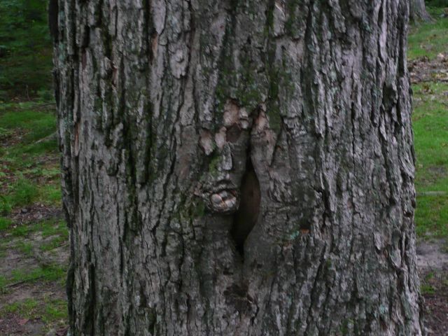 Daily picdump (156 pics)