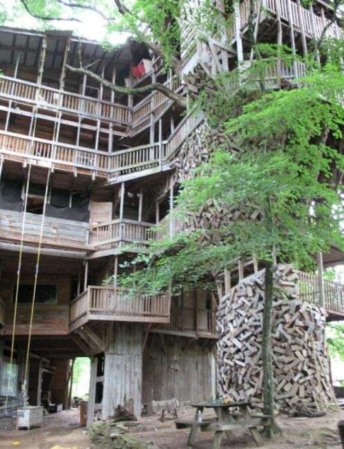 Largest treehouse in the world (25 pics)