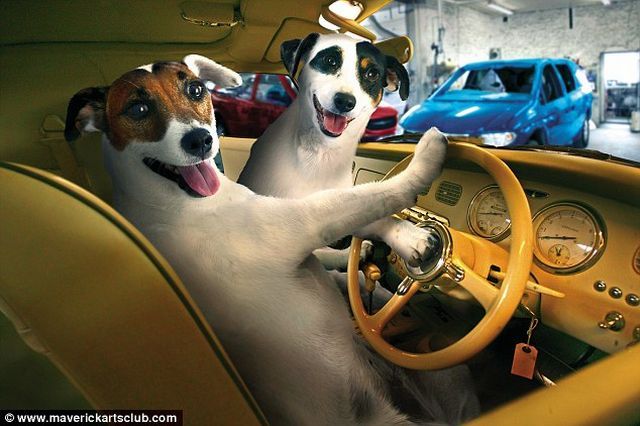 Great auto repair shop staff (12 pics)