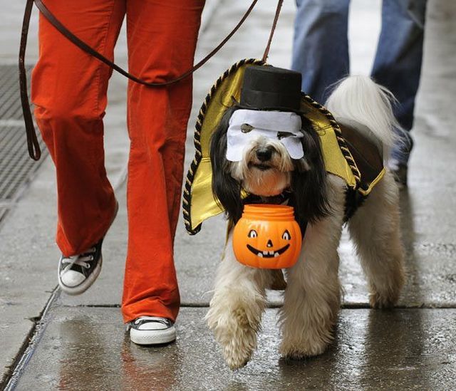 Daily picdump (123 pics)