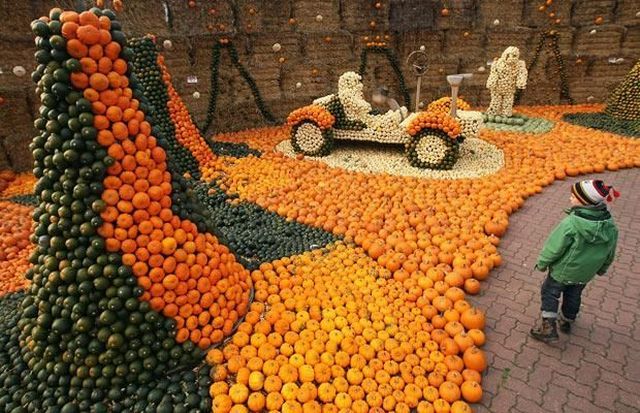 Daily picdump (123 pics)