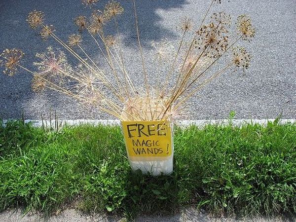 Daily picdump (123 pics)
