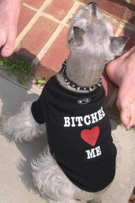 Daily picdump (123 pics)