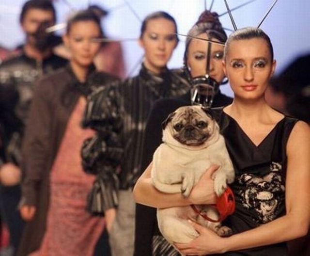 Daily picdump (123 pics)