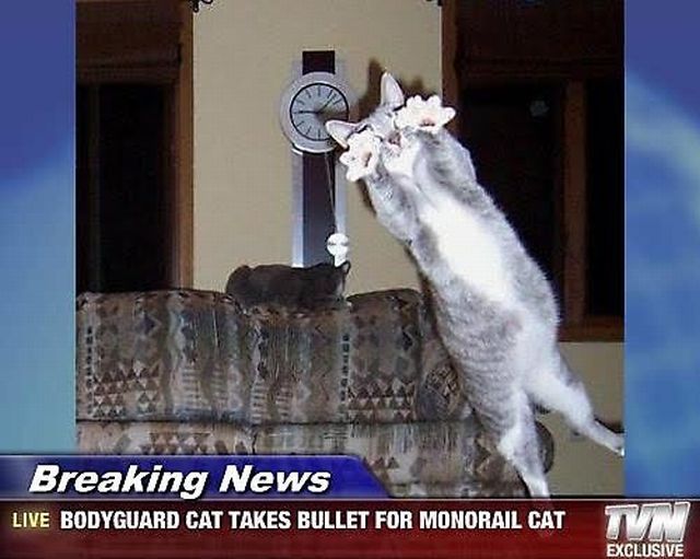 Daily picdump (123 pics)