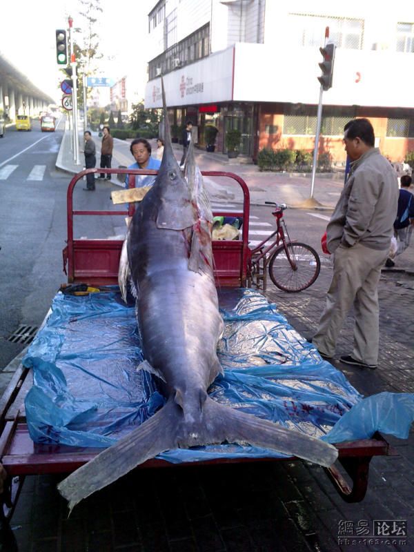 Daily picdump (123 pics)
