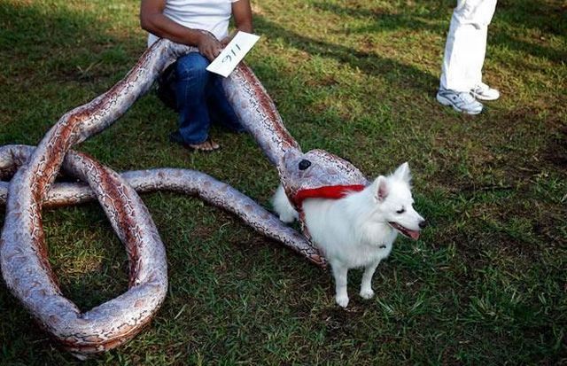 Daily picdump (123 pics)