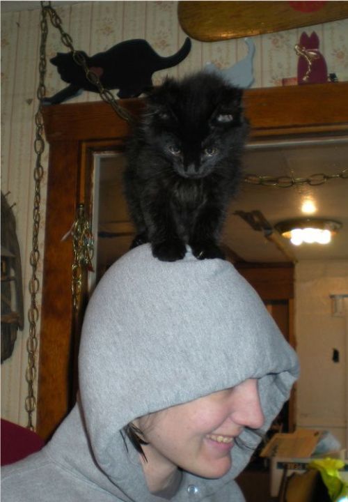 Daily picdump (123 pics)