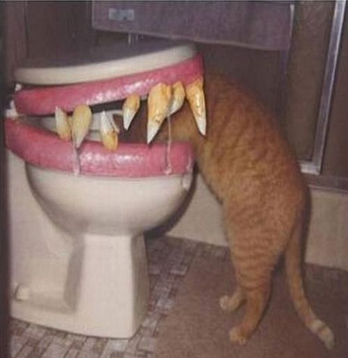 Daily picdump (123 pics)