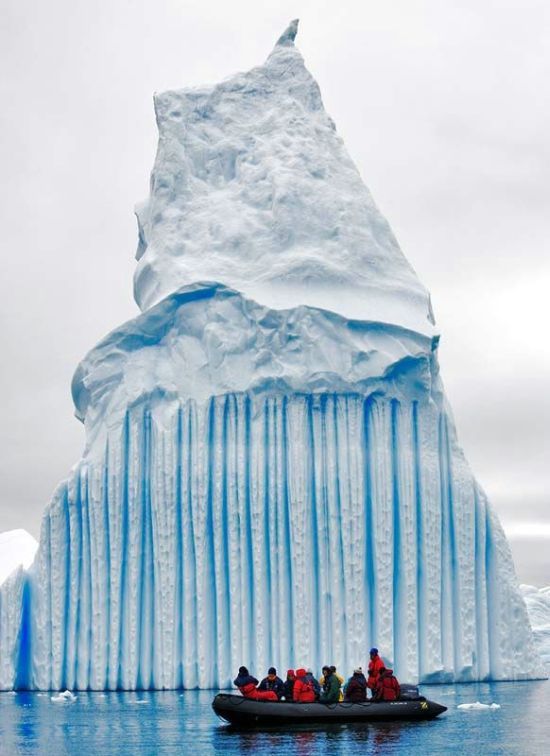 The beauty and splendor of icebergs (110 pics)