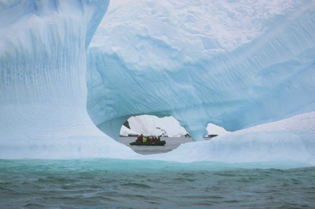 The beauty and splendor of icebergs (110 pics)