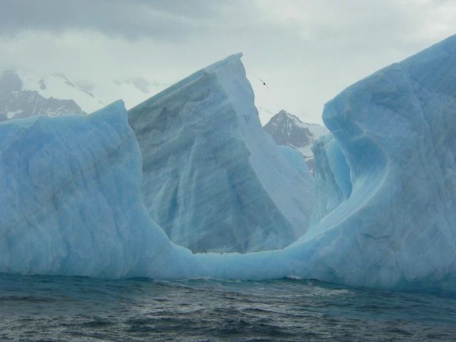 The beauty and splendor of icebergs (110 pics)