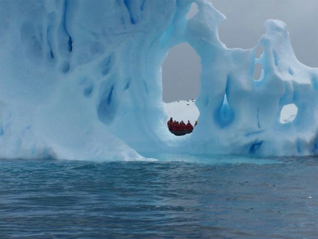 The beauty and splendor of icebergs (110 pics)