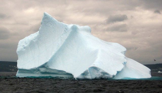 The beauty and splendor of icebergs (110 pics)