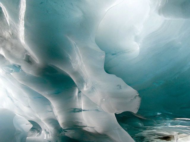 The beauty and splendor of icebergs (110 pics)