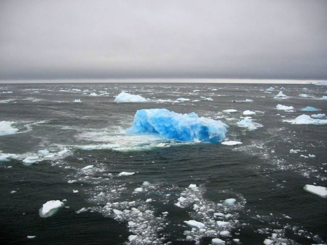 The beauty and splendor of icebergs (110 pics)