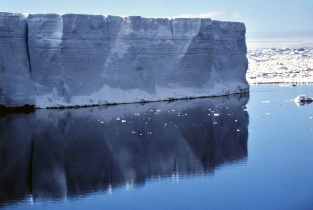 The beauty and splendor of icebergs (110 pics)