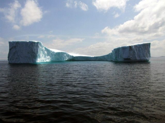 The beauty and splendor of icebergs (110 pics)