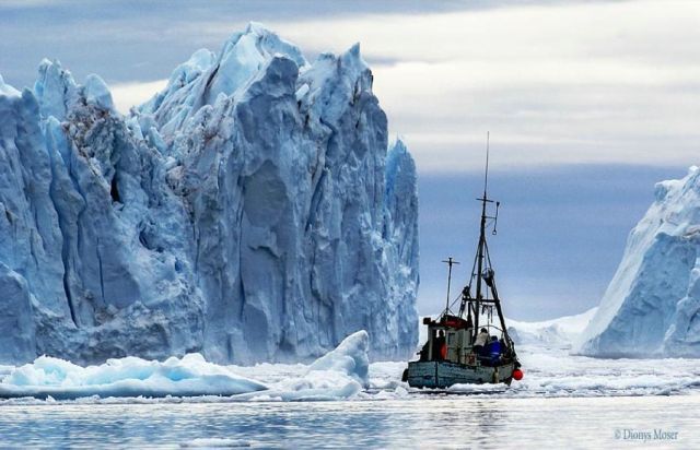 The beauty and splendor of icebergs (110 pics)