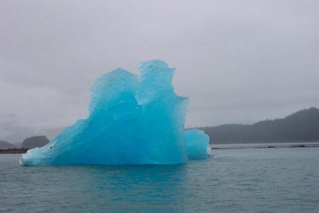 The beauty and splendor of icebergs (110 pics)