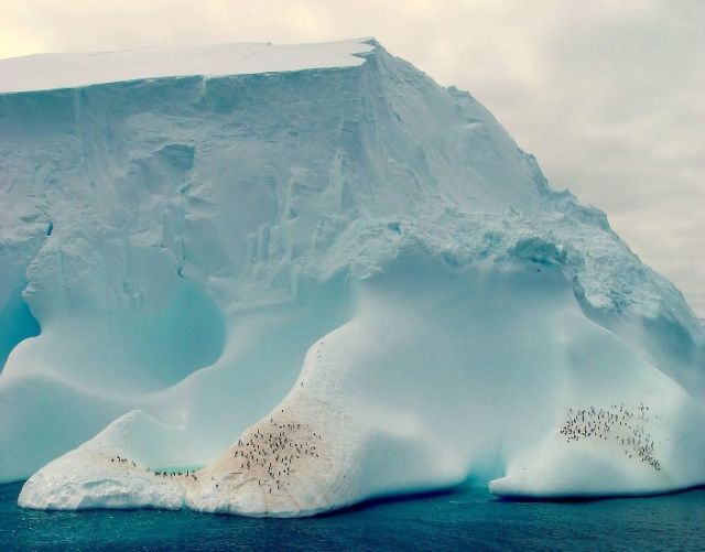 The beauty and splendor of icebergs (110 pics)