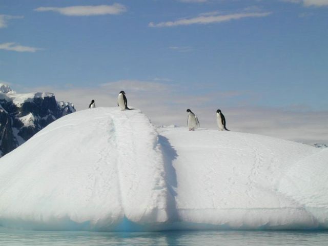 The beauty and splendor of icebergs (110 pics)