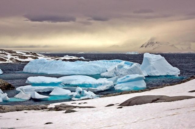 The beauty and splendor of icebergs (110 pics)