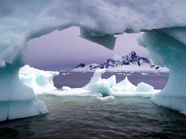The beauty and splendor of icebergs (110 pics)