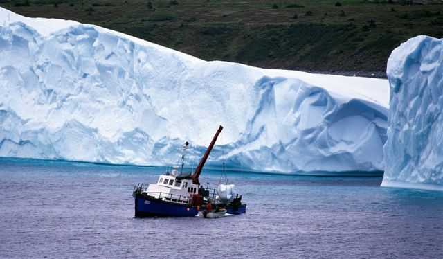 The beauty and splendor of icebergs (110 pics)