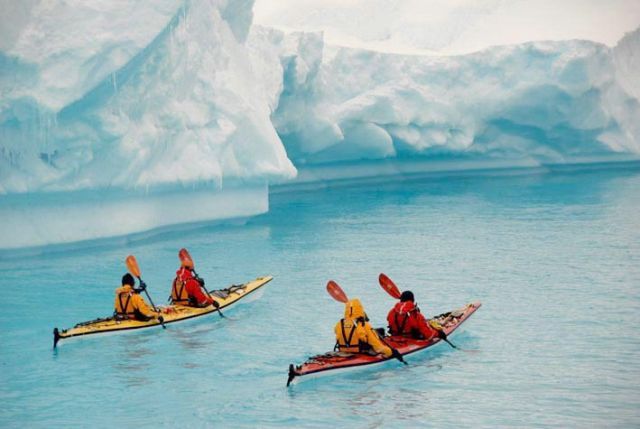 The beauty and splendor of icebergs (110 pics)