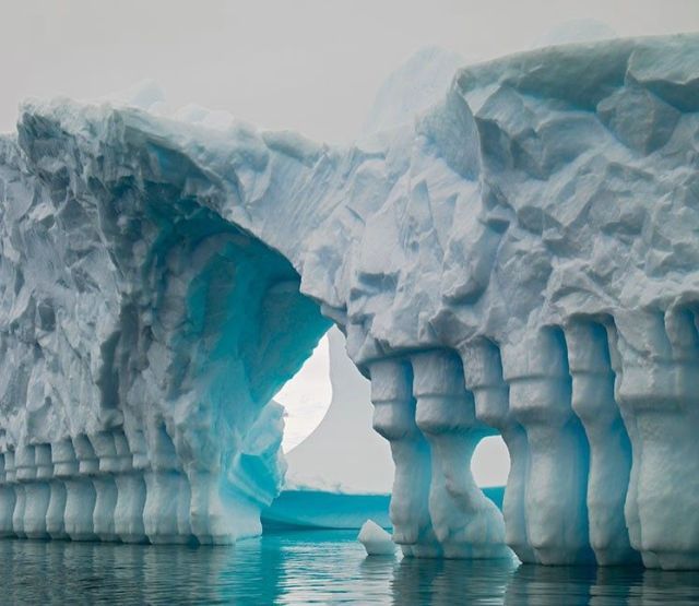 The beauty and splendor of icebergs (110 pics)