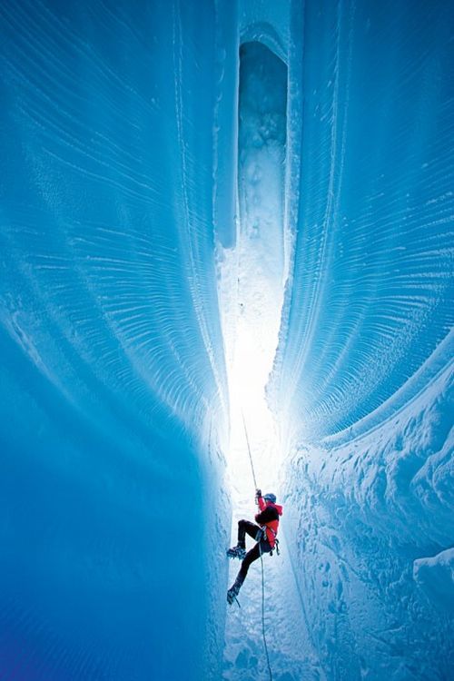 The beauty and splendor of icebergs (110 pics)