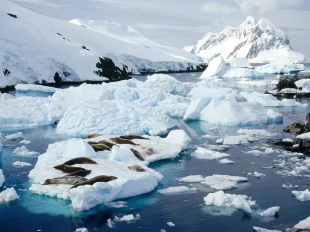 The beauty and splendor of icebergs (110 pics)